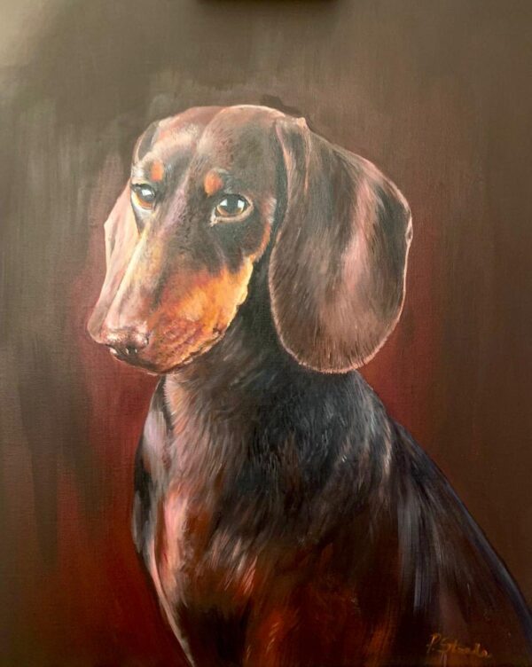 Dachshund