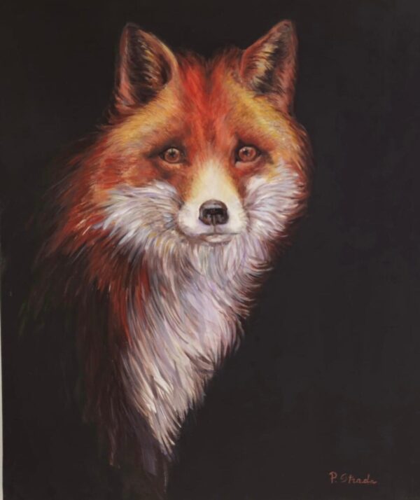 The Fox